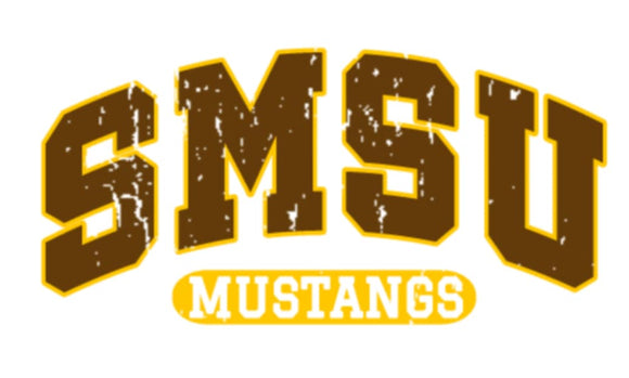 Mustangs 1/4 zip sweatshirt