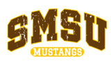 Mustangs 1/4 zip sweatshirt