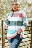 Green Plus Size Colorblock Pullover Top